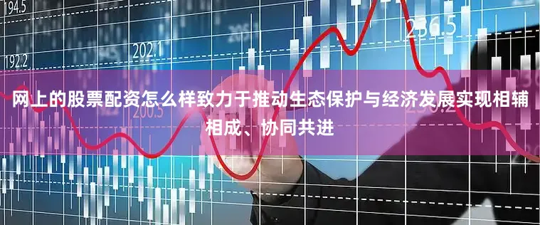 网上的股票配资怎么样致力于推动生态保护与经济发展实现相辅相成、协同共进