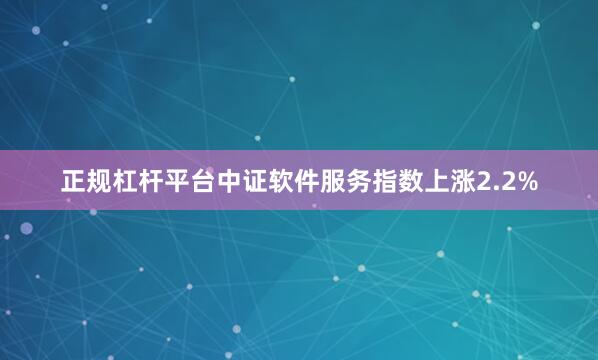正规杠杆平台中证软件服务指数上涨2.2%