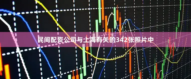民间配资公司与上海有关的342张照片中
