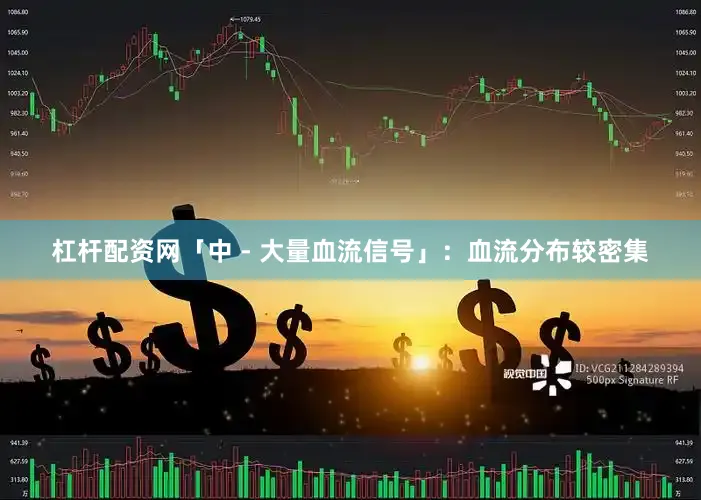 杠杆配资网「中 - 大量血流信号」：血流分布较密集